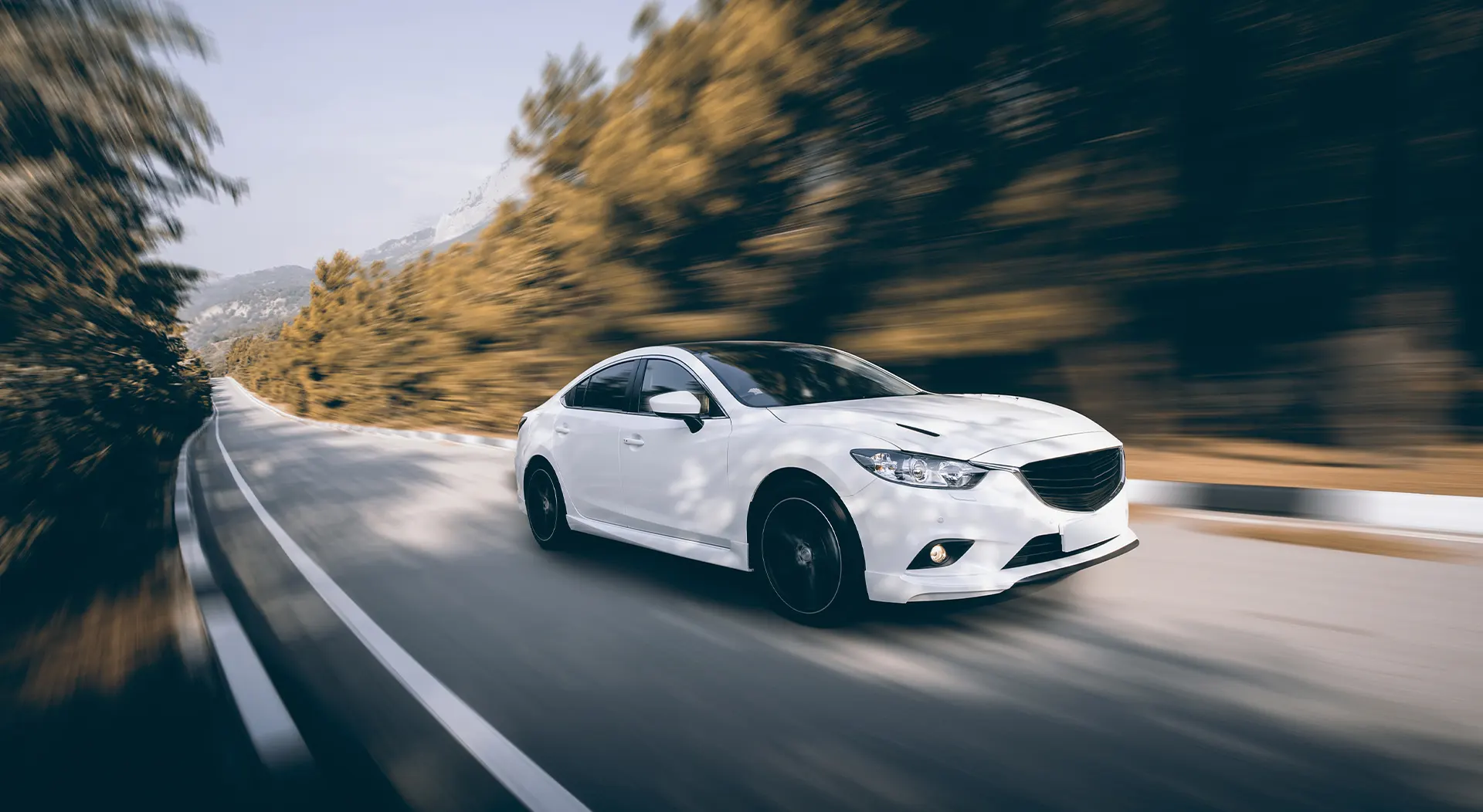 voitures coup de cœur